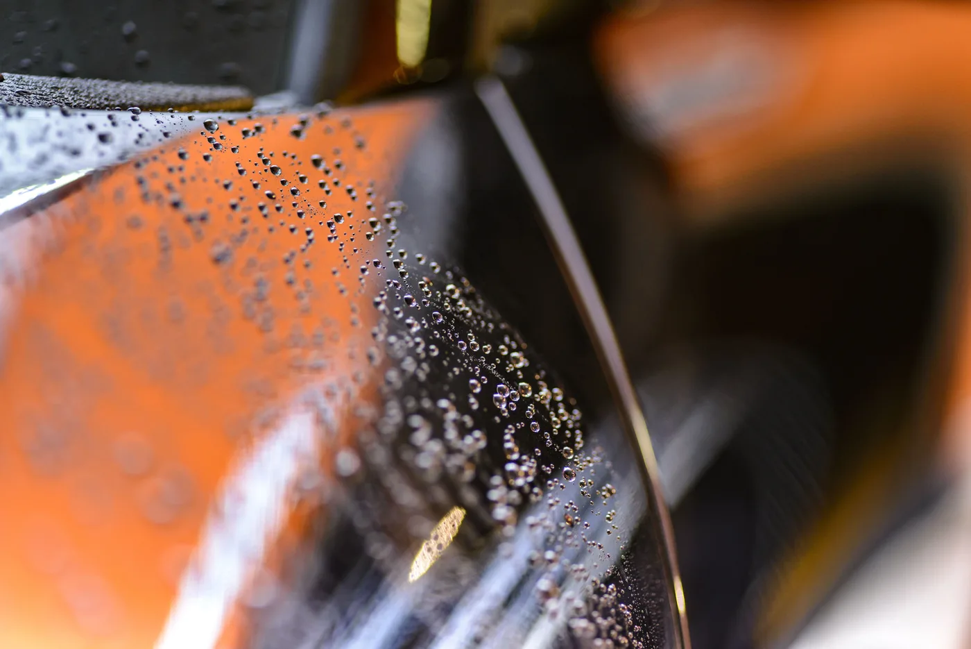 A fresh coat pulling water into tight beads