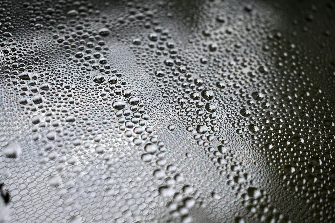Water beading tight and high on a freshly ceramic-coated black panel
